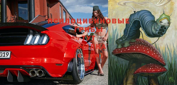тгк Алексин