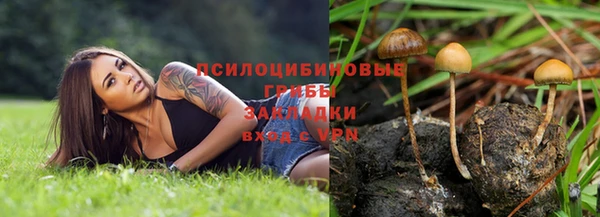 тгк Алексин
