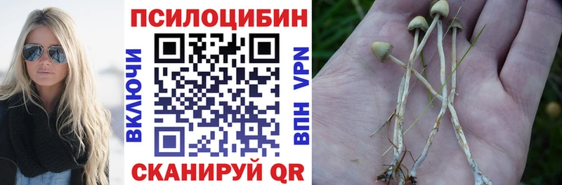 Галлюциногенные грибы Psilocybine cubensis  даркнет сайт  Приморск 
