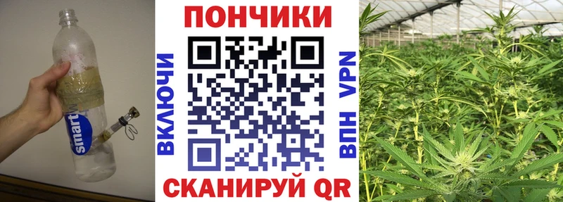 Бошки Шишки THC 21%  хочу наркоту  Приморск 